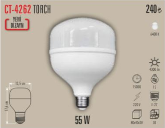 Torch 55 W