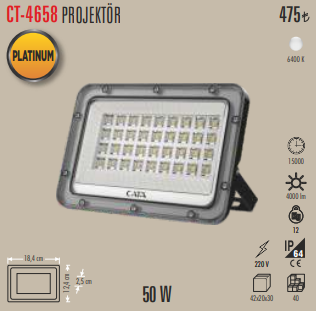 Platinum Projektör (100W)