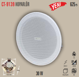 Hoparlör (Yeni) 30 W